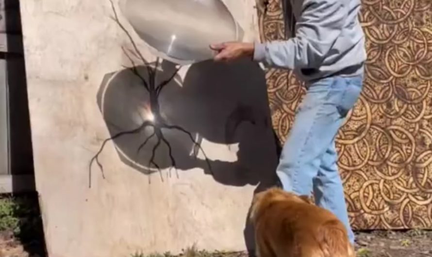 Where Sunbeams Meet Creativity An Artistic Glass Painting Experiment