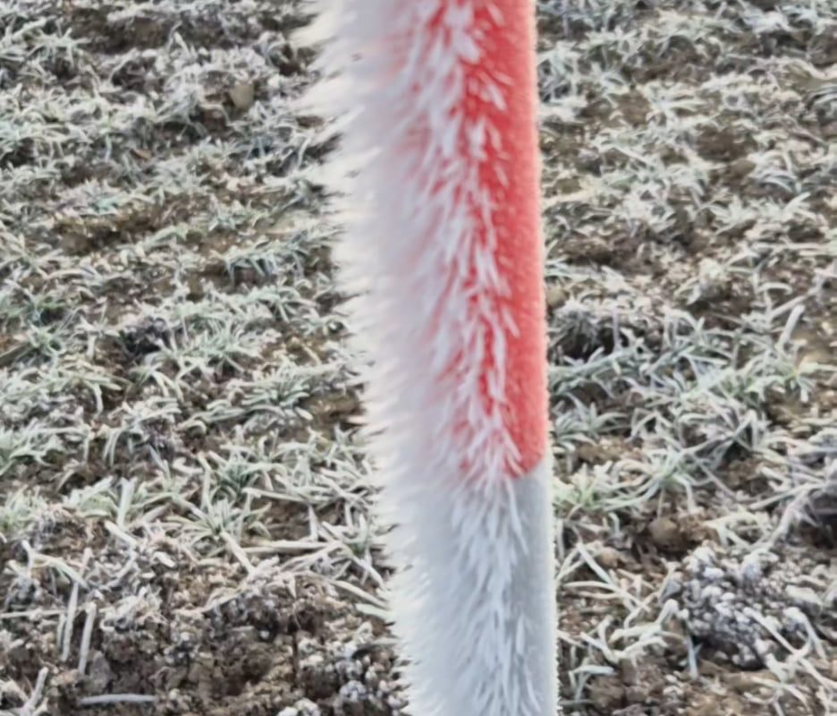 Winter frost in Sweden