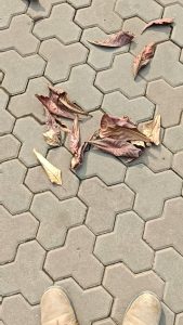 Yayy, Crunchy leaves