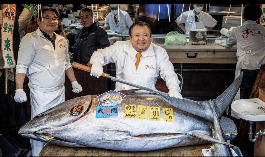 Yesterday, the most expensive tuna of all time was auctioned in Japan, 535 lbs for about 3,280,000 dollars, never before has such a high price been achieved