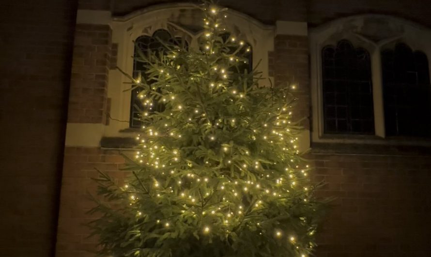 You can use a solar panel to “listen” to light