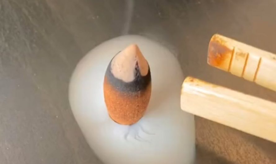 Zen pear The legendary zaza