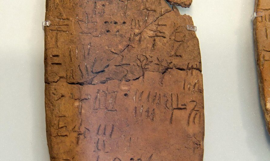 a tablet from the island of crete written in “linear A” script, used to write the language/s of the ancient Minoan civilization (2100–1450BC) which has yet to be deciphered .