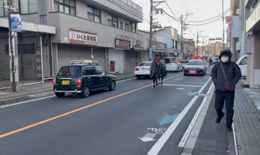 horse in Japan has gone viral after breaking out of its stable and running around in the city then returning to his home 30 minutes later