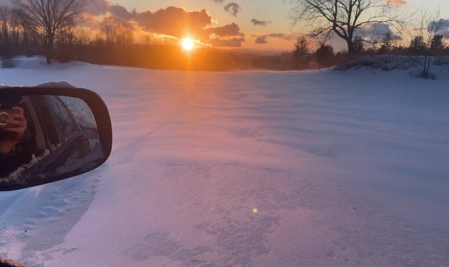 snow wisps at sunset