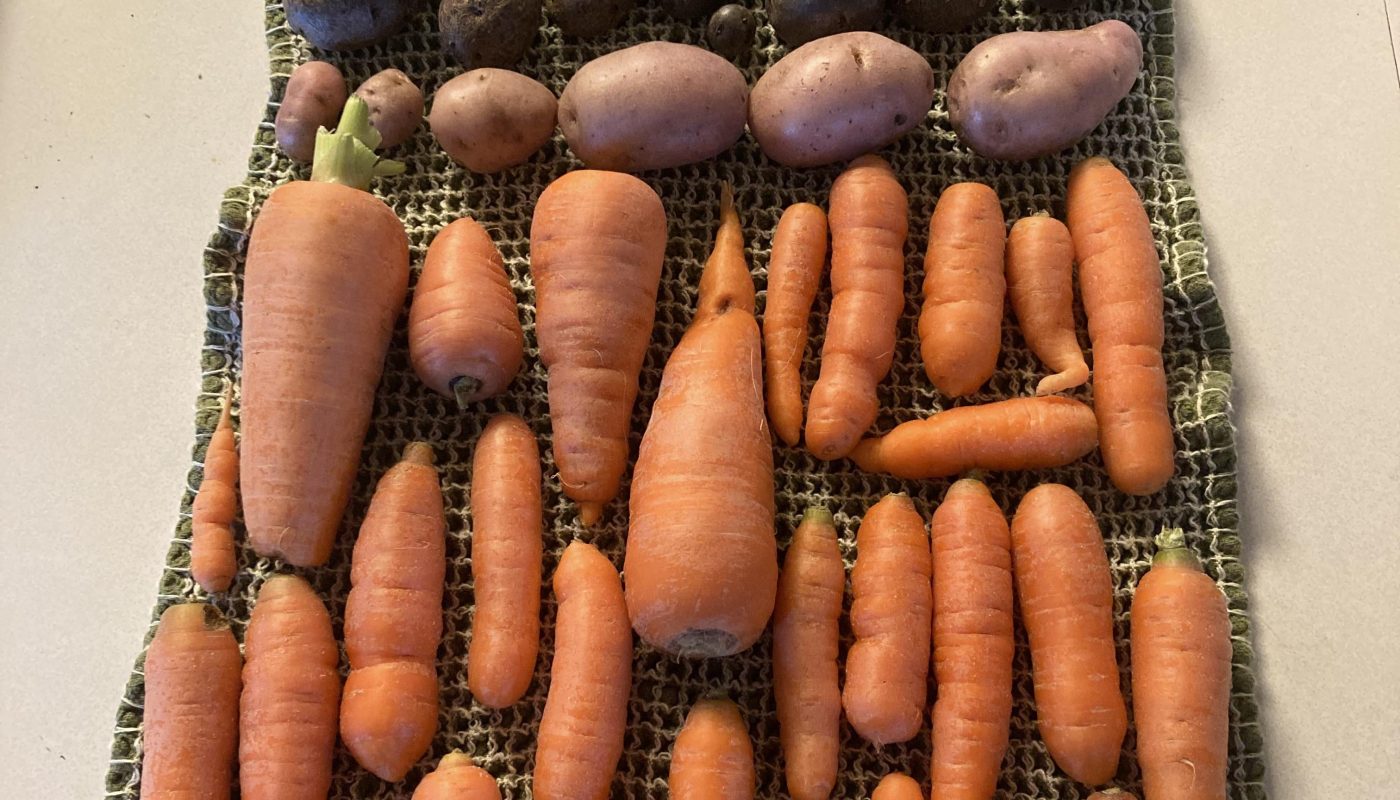 the way my wife organized our harvest