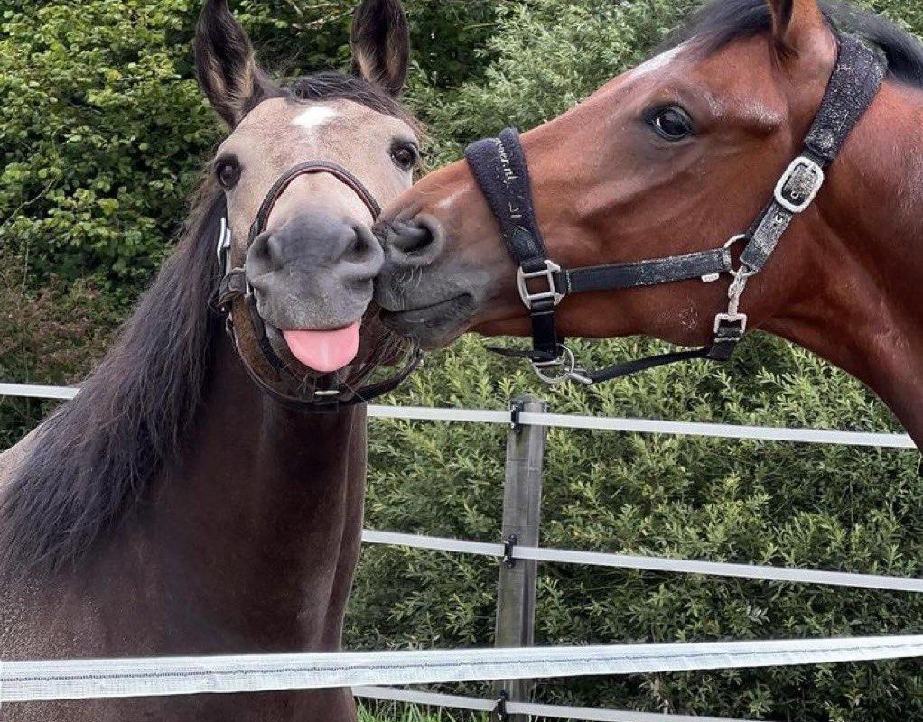 this is what a stable relationship looks like