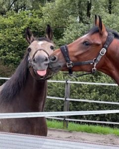 this is what a stable relationship looks like