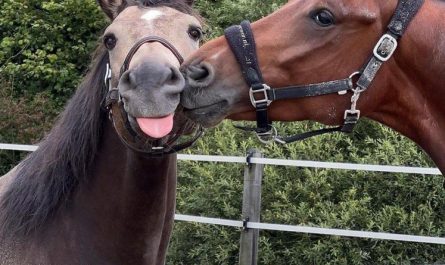 this is what a stable relationship looks like