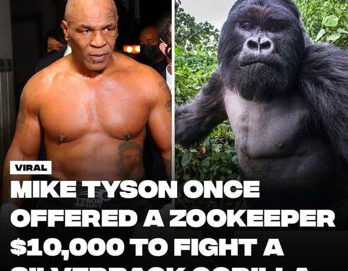wtf was Mike Tyson thinking😭😭