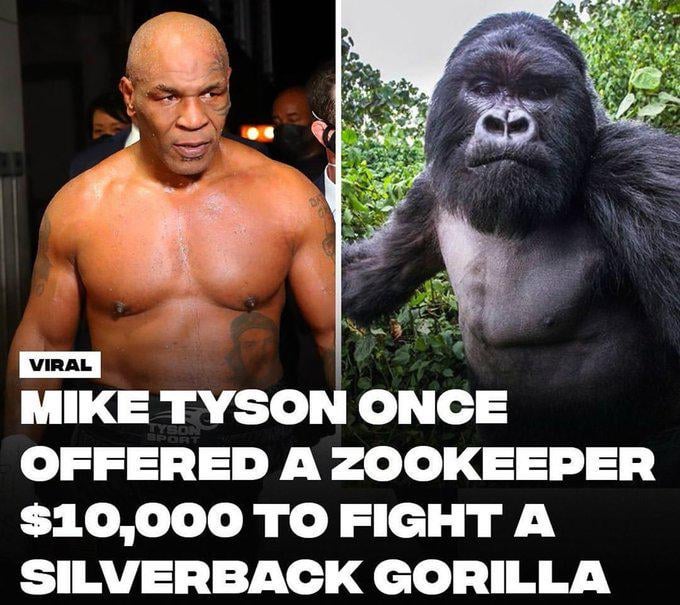 wtf was Mike Tyson thinking😭😭