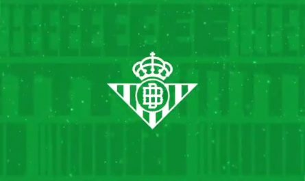 ​Real Betis (football club in Spain) fans raining down thousands of plushies for their annual toy toss for disadvantaged children.