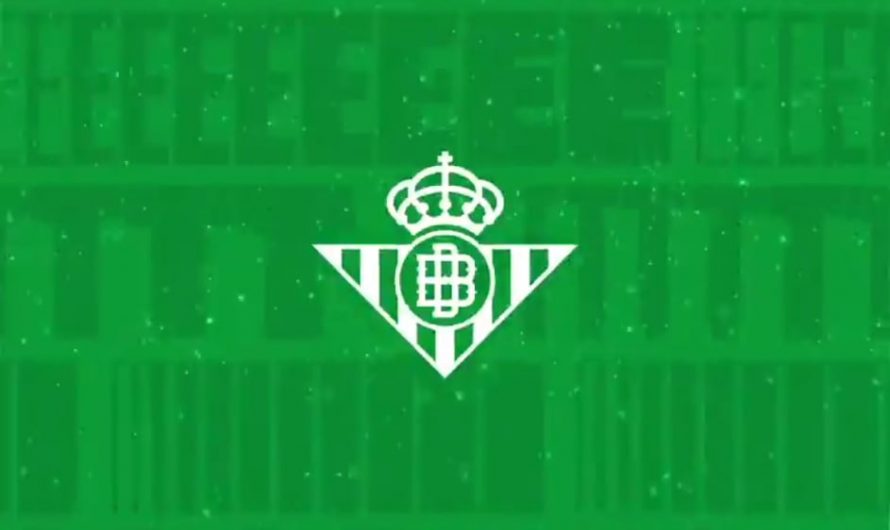 ​Real Betis (football club in Spain) fans raining down thousands of plushies for their annual toy toss for disadvantaged children.