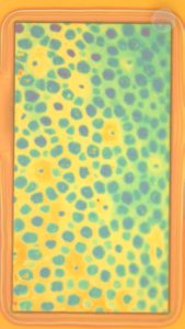 A polymer inspired by octopus camouflage that actively changes color