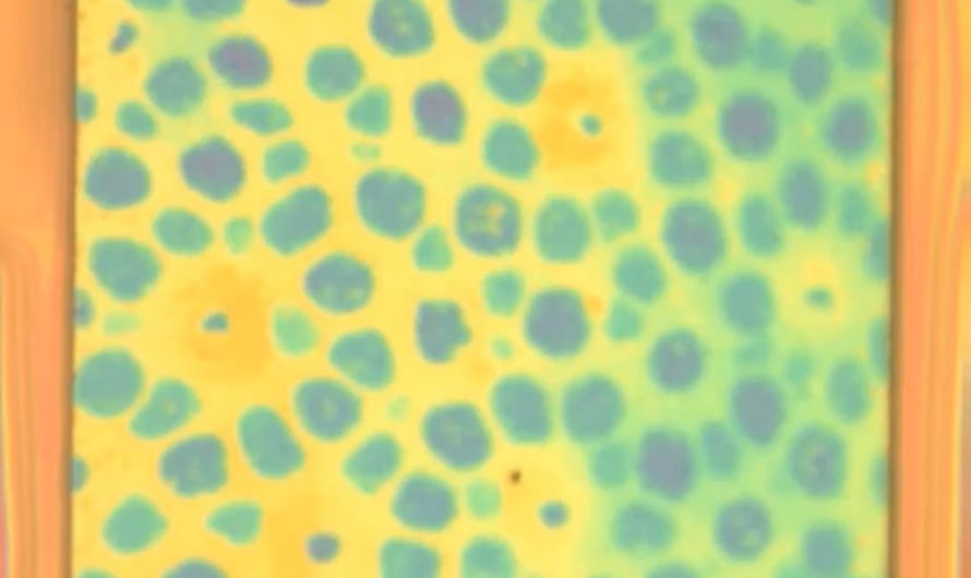 A polymer inspired by octopus camouflage that actively changes color