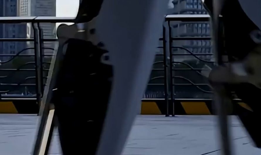 A robot walks record 106 kilometres all by itself