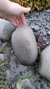 All rocks in my garden were like that after an ice storm last night - I guess I know what I'll do for the next 5 hours!