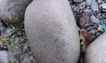 All rocks in my garden were like that after an ice storm last night - I guess I know what I'll do for the next 5 hours!