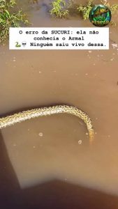 Anaconda devours Armal and dies from its stings.