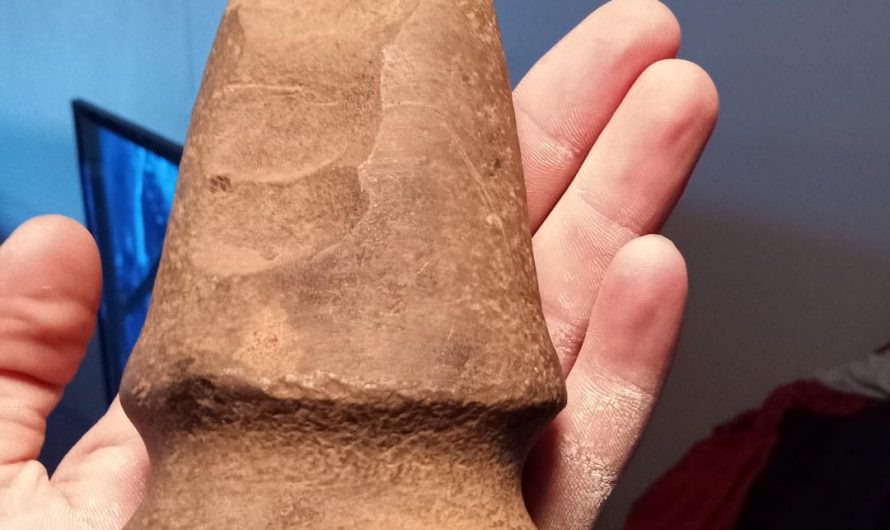 Another one for our fathers axes. Found in NW Arkansas. He said he stubbed his toe and dug it up with the intention of throwing it over the bluff thinking it was a normal rock that hurt him.