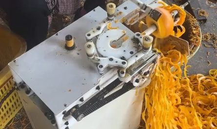 Automated peeling of citrus fruits