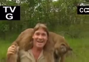 Average Day for Steve Irwin