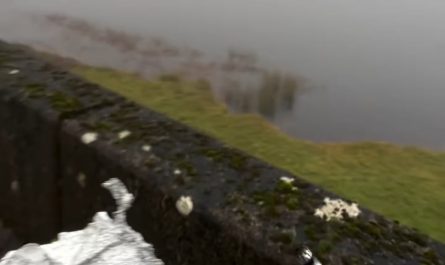 Border Collie is being trained as a forensic/detection K9 to track a cigarette underwater
