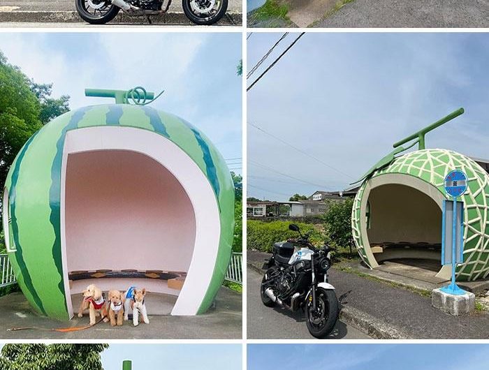 Bus Stops In Japan, Modeled After Fruits Such As Watermelon, Lemon, Strawberry, Tomato, & Muskmelon.