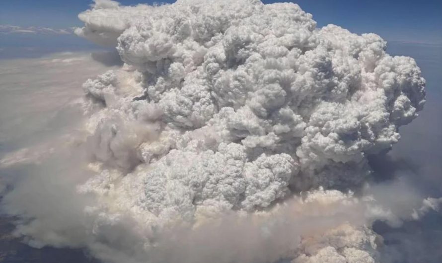 Bushfire from a plane view Victoria, Australia 🇦🇺 credit: in comments