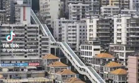 China built a 80 storey escalator through mountainous terrain