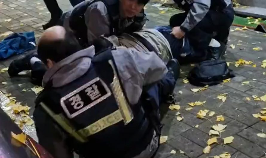 Citizen helping officer