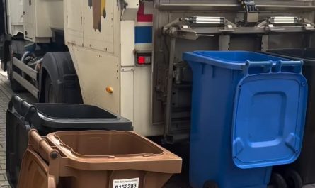 Cleaning machine for dirty garbage cans in Germany