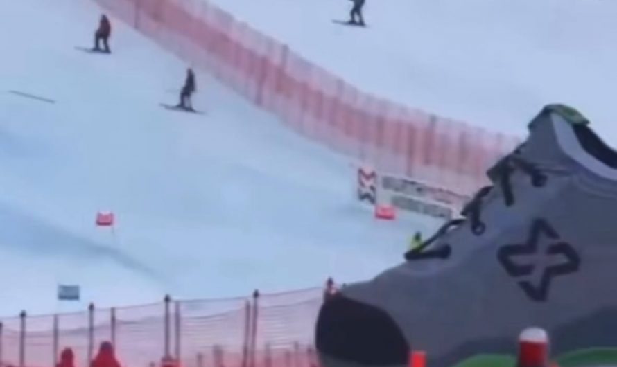 Doggo just wanted a chance to compete in the Winter Olympics.