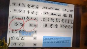 Egyptian Hieroglyphs vs Chinese Characters