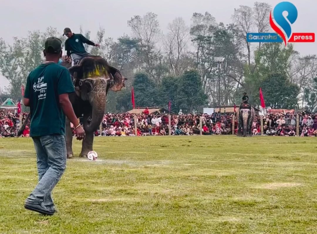 Elephant playing football (Video from Nepal 🇳🇵)