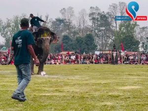Elephant playing football (Video from Nepal 🇳🇵)
