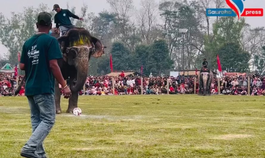 Elephant playing football (Video from Nepal 🇳🇵)