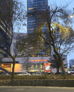 Fancy Home Depot in Polanco, Mexico