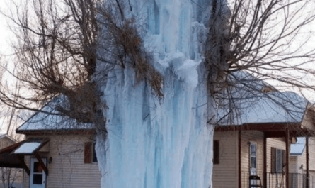Fire hydrant bursts in sub-zero temperature.