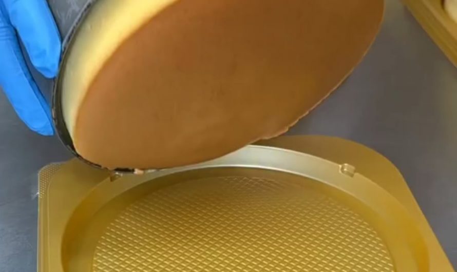 Fluffy soufflé cheesecakes wiggle