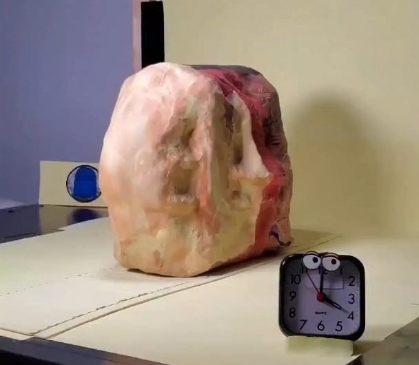 Frame by frame… this stop-motion animation took 3.5 hours to film! A creation by artist Ellard Devane for the series Hazbin Hotel.