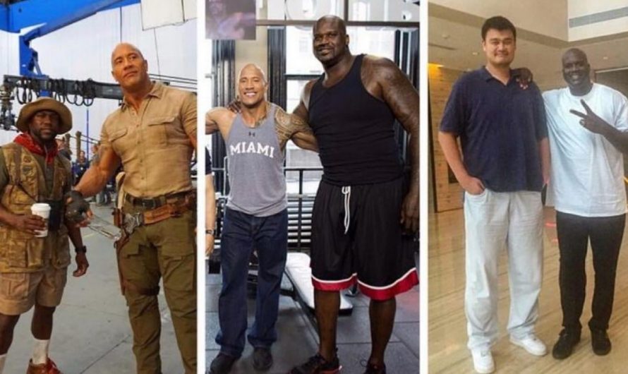 From Kevin Hart to Yao Ming