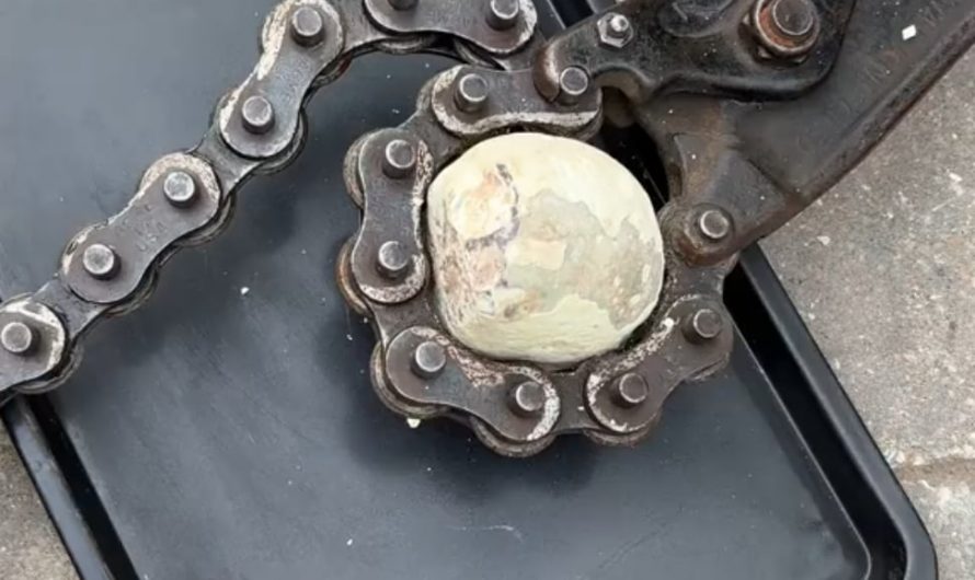 Geode Water Under The Microscope.