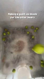 Giant ice block for the polar bears