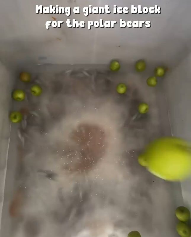 Giant ice block for the polar bears
