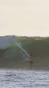 He was surfing and a flying fish decided to join him through waves