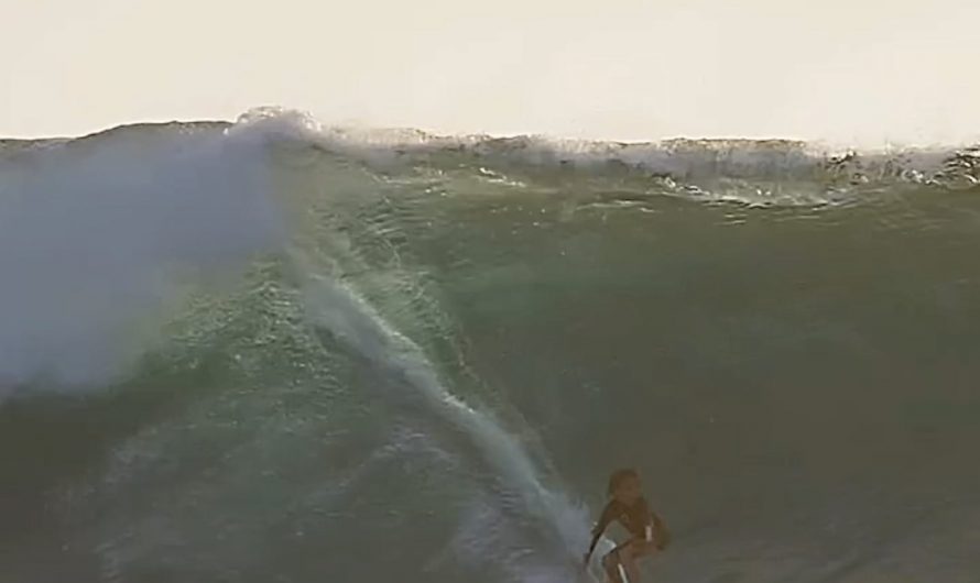 He was surfing and a flying fish decided to join him through waves