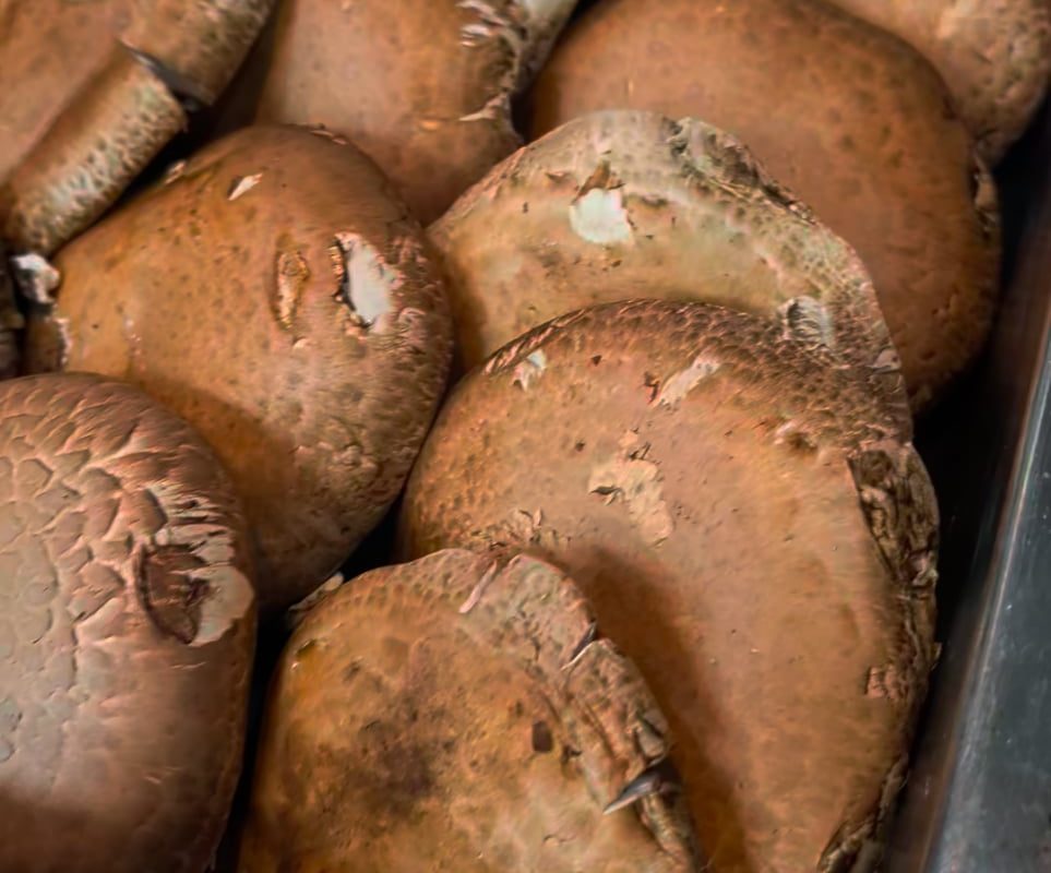 Hot oil on mushrooms