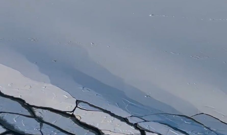 How the waves caused by a ship makes the ice react