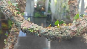 I could sit and watch this for an hour